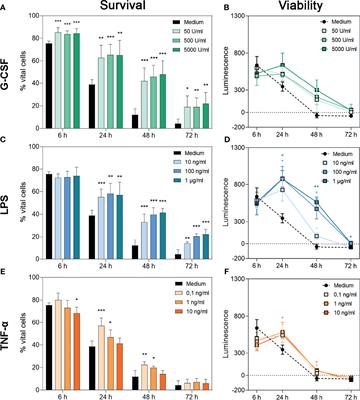 NET Release of Long-Term Surviving Neutrophils